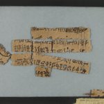 Group of Seven Papyrus Fragments Fitted Together Forming a Portion of a Letter