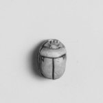 Motto Scarab