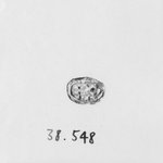 Scarab