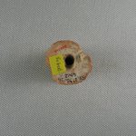 Curved Sherd