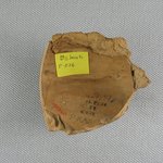 Large Sherd