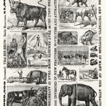 Poster for John Robinsons Circus