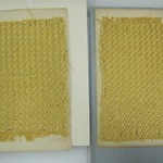 Fabric Swatch