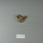One of Eleven Triangular Stones