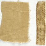 Plainweave Fabric