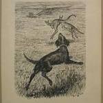 Chapter XIV "The Animal Village," "A Big Black Dog Came Rushing Out"