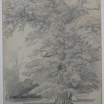 Tree Study