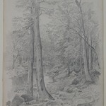 Landscape with Stream