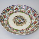Dish