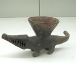 Alligator Cup