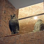 Standing Owl, from New York Herald Building, NYC