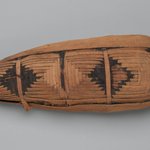 Mummy of Ibis