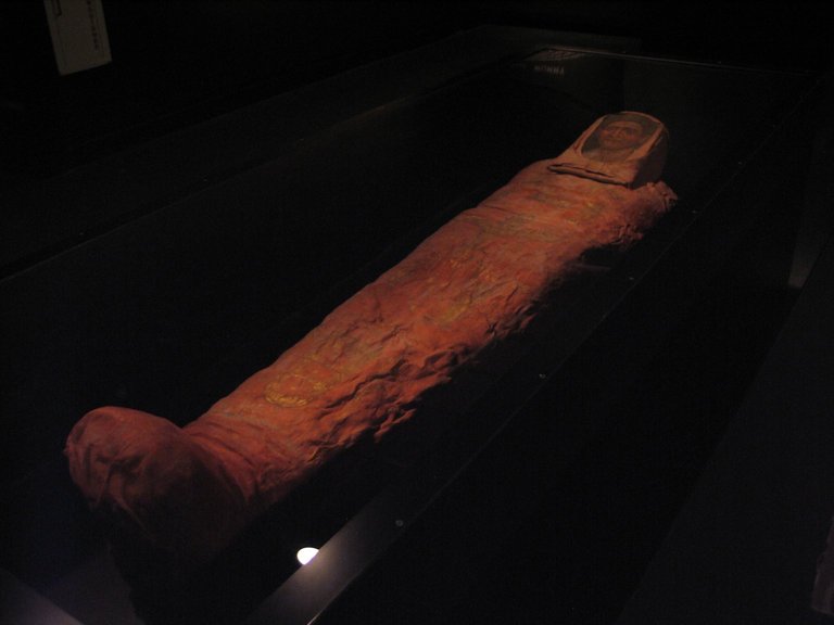 La momia de Demetrios CUR.11.600a-b_tlf
