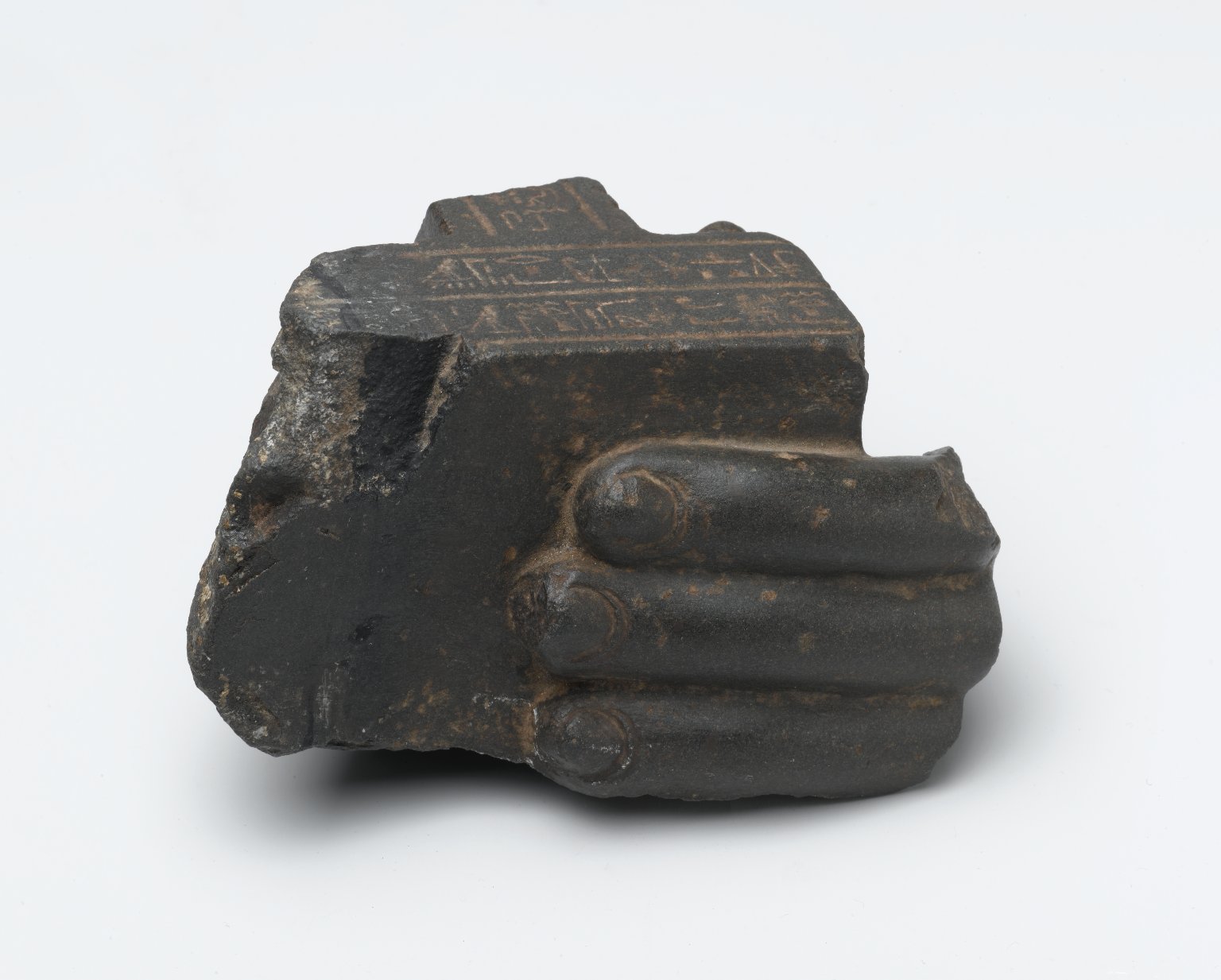 Brooklyn Museum: Fragment of a Left Hand