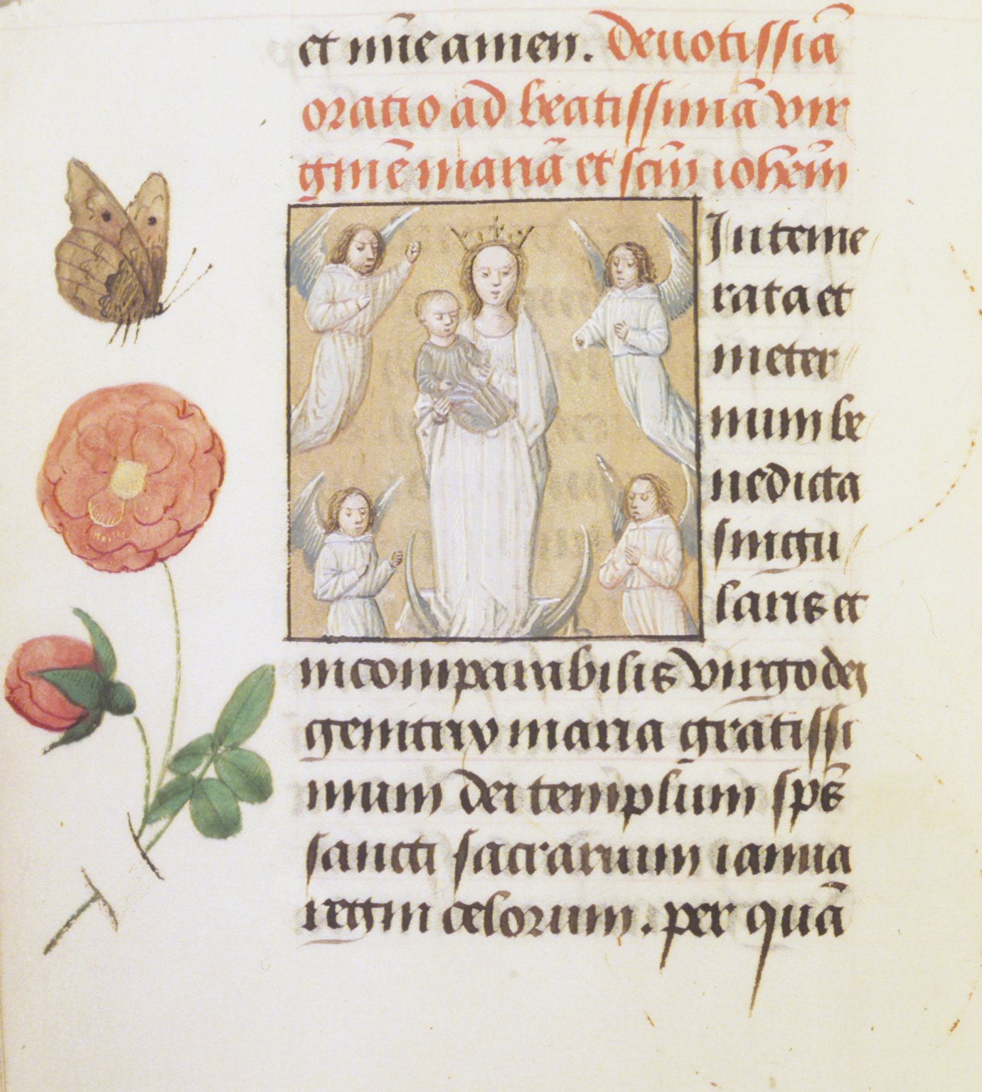 Brooklyn Museum: Horae Beatae Mariae Virginis